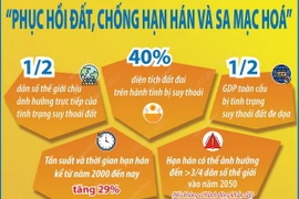 Ngày Môi trường Thế giới 5/6: Phục hồi đất, chống hạn hán và sa mạc hóa