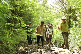 Người nhận khoán bảo vệ rừng buôn Drang Phốk, xã Krông Na, huyện Buôn Đôn, tỉnh Đắk Lắk tham gia tích cực vào công tác quản lý bảo vệ rừng. (Ảnh: Tuấn Anh/TTXVN)