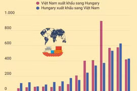 Quan hệ thương mại Việt Nam-Hungary đạt tốc độ tăng trưởng tốt
