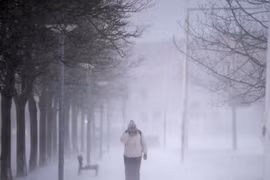 Tuyết rơi nhiều ở Đan Mạch. (Nguồn: Reuters)