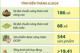Hà Nội phấn đấu có thêm 4 huyện được công nhận đạt chuẩn nông thôn mới nâng cao