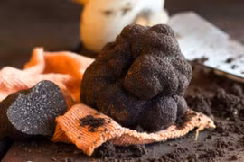 Nấm truffle. (Ảnh minh họa. Nguồn: Getty images)
