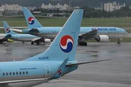 Máy bay của hãng hàng không Korean Air tại sân bay Gimpo ở Seoul, Hàn Quốc. (Ảnh: AFP/TTXVN)