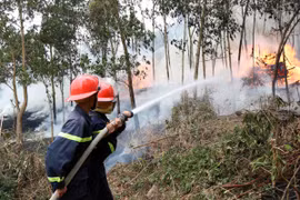Các lực lượng tham gia chữa cháy rừng tại buổi diễn tập. (Ảnh: Trần Trang/TTXVN)