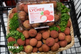 Ảnh minh họa. (Nguồn: TTXVN)