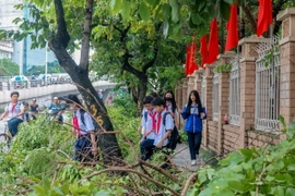 7h sáng, nhiều học sinh Trường THCS Tô Hoàng (Quận Hai Bà Trưng) đi học giữa "rừng" cây gãy, đổ. (Ảnh: Hoàng Hiếu/TTXVN)