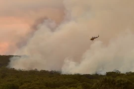 (Ảnh minh họa. AFP/TTXVN)