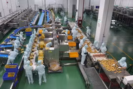Công nhân một nhà máy có vốn FDI tại Tiền Giang. (Ảnh: Lâm Nguyên/TTXVN)