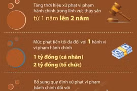 Khắc phục “thẻ vàng” IUU: Xử lý nghiêm các vi phạm theo quy định mới