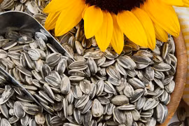 (Nguồn: Getty Images)