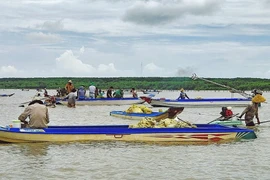 Người dân dùng máy hút cát để khai thác nghêu giống làm ảnh hưởng đến nguồn lợi thuỷ sản và có nguy cơ làm mất an ninh trật tự của địa phương. (Ảnh: TTXVN phát)