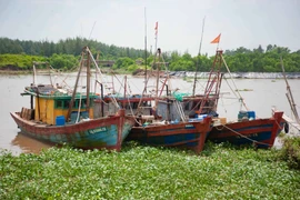 Tàu thuyền chủ động neo đậu tránh trú bão. (Ảnh minh họa. Vũ Quang/TTXVN)