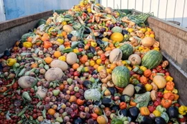 Thực phẩm bị bỏ đi. (Ảnh minh họa. Getty images)