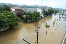Đường Phạm Văn Xảo, phường Lào Cai, thành phố Lào Cai bị lũ tràn vào, ngập trong biển nước lúc 11g30 ngày 9/9. (Ảnh: Quốc Khánh/TTXVN)