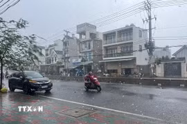 Ảnh minh họa. (Nguồn: TTXVN)
