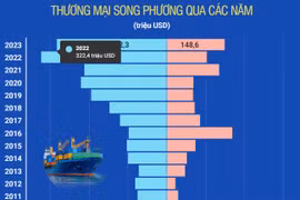 Việt Nam và Romania phát triển quan hệ tốt đẹp trên nhiều mặt