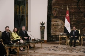 Tổng thống Ai Cập Abdel Fattah al-Sisi (giữa) và Ngoại trưởng Mỹ Antony Blinken (thứ 3, trái) tại cuộc gặp ở Cairo ngày 10/6. (Ảnh: AFP/TTXVN)