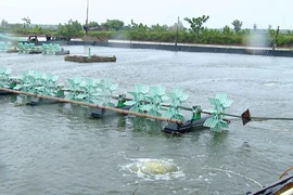 Khu nuôi trồng thủy sản, đê kè biển và các hoạt động khác tại vùng biển huyện Kim Sơn. (Ảnh: Hải Yến/TTXVN)