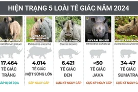 Cả thế giới còn lại chưa tới 28.000 con tê giác