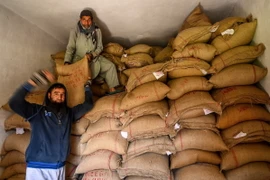 Vận chuyển gạo tại kho ở Srinagar, Ấn Độ. (Ảnh: AFP/TTXVN)