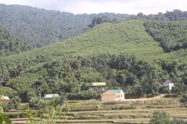 Người dân xã Châu Phong, huyện Quỳ Châu, tỉnh Nghệ An thiếu đất sản xuất. (Ảnh: Bích Huệ/TTXVN)