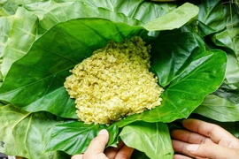 Cốm làng Vòng với những hạt cốm xanh mỏng, dẻo thơm đặc trưng cho ẩm thực mùa Thu Hà Nội. (Ảnh: Khánh Hòa/TTXVN)