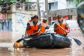 (Ảnh minh họa. Nguồn: THX/TTXVN)