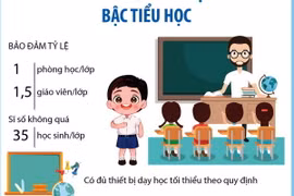 Những yêu cầu và nhiệm vụ của các cấp học năm 2024-2025 