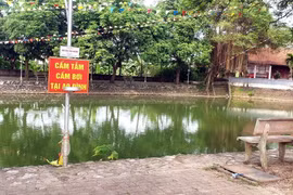 (Ảnh minh họa. Đinh Văn Nhiều/TTXVN)