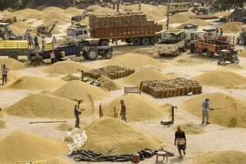 Công nhân vận chuyển gạo tại một chợ bán buôn ngũ cốc ở Amritsar, Ấn Độ. (Ảnh: AFP/TTXVN)