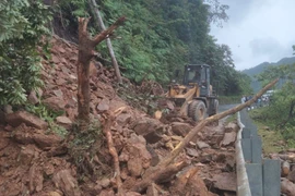 (Ảnh minh họa. TTXVN phát)