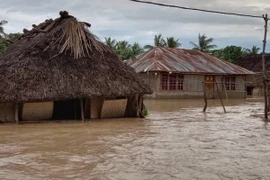 (Ảnh minh họa. AFP/TTXVN)