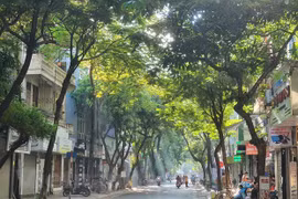 (Ảnh: Huy Khánh/Vietnam+)