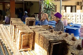 Người thợ thủ công làm ra các sản phẩm từ cói ở huyện Kim Sơn, tỉnh Ninh Bình. (Ảnh: Thùy Dung/TTXVN)