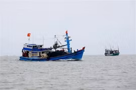 (Ảnh minh họa. Hồng Đạt/TTXVN)