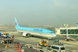 Máy bay của hãng Korean Air tại sân bay quốc tế Kimpo, Hàn Quốc. (Ảnh: Anh Nguyên/TTXVN)