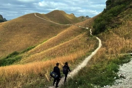 Những con đường mòn trên đồi cỏ gợi nhớ những ký ức xưa yên bình. (Ảnh: Quốc Đạt/TTXVN)