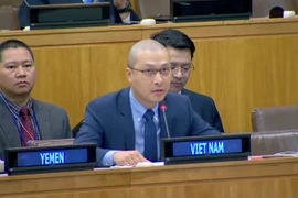Đại biện Nguyễn Hoàng Nguyên. (Ảnh: Quang Huy /TTXVN)