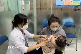 Ảnh minh họa. (Nguồn: TTXVN)