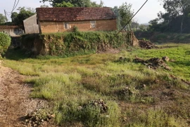 Ngôi nhà chơ vơ trên đồi tại xã Phú Sơn (Ba Vì, Hà Nội) bị múc đất nham nhở. (Ảnh: Nguyễn Văn Cảnh/TTXVN)