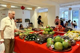 Góc giới thiệu các sản phẩm cây trái và nông nghiệp Việt Nam. (Ảnh: Nguyễn Thu Hà/TTXVN)