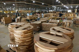 (Ảnh minh họa. Vũ Sinh/TTXVN)