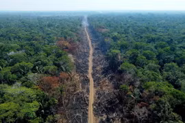 Khoảng rừng Amazon bị đốt phá tại Humaita, bang Amazonas, Brazil. (Ảnh: AFP/TTXVN)