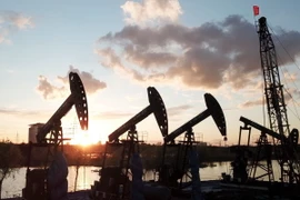 Giàn khoan dầu tại tỉnh Hắc Long Giang, Trung Quốc. (Ảnh: THX/TTXVN)