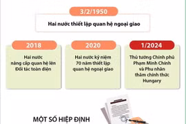 Quan hệ Đối tác Toàn diện Việt Nam-Hungary ngày càng phát triển