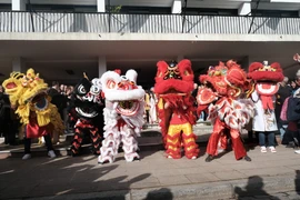 (Nguồn: Vietnam+)