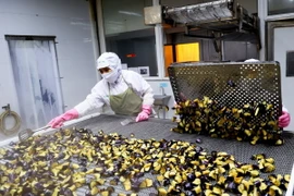 Công nhân làm sản phẩm cà tím chế biến xuất khẩu tại Công ty Phát triển kinh tế Duyên Hải - COFIDEC, huyện Bình Chánh, Thành phố Hồ Chí Minh. (Ảnh: Hồng Đạt/TTXVN)