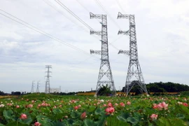 Đường dây 500kV mạch 3 Quảng Trạch-Phố Nối có tổng chiều dài khoảng 519km, đi qua địa bàn 9 tỉnh, gồm: Quảng Bình, Hà Tĩnh, Nghệ An, Thanh Hóa, Ninh Bình, Nam Định, Thái Bình, Hải Dương và Hưng Yên, tổng mức đầu tư khoảng 22.300 tỉ đồng. (Ảnh: Huy Hùng/TTXVN)