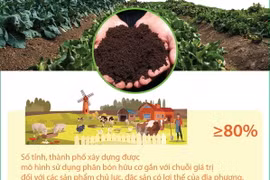 Đến 2050, cả nước có 50% diện tích trồng trọt sử dụng phân bón hữu cơ