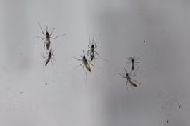(Ảnh minh họa. AFP/TTXVN)